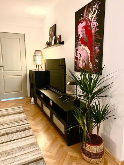 Apartament Universitate Umfst Târgu-Mureş