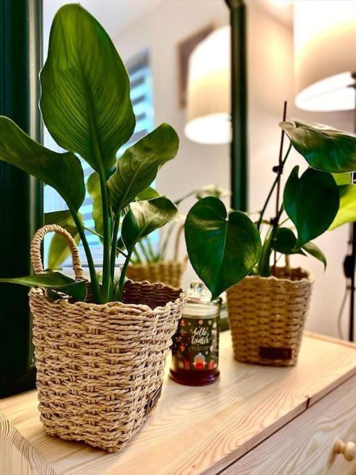 Apartament Universitate Umfst Târgu-Mureş